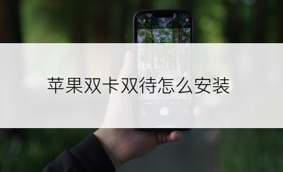 苹果双卡双待怎么安装