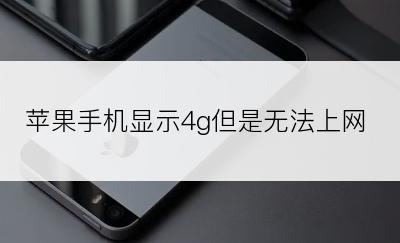 苹果手机显示4g但是无法上网