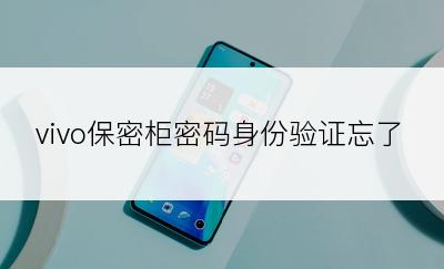 vivo保密柜密码身份验证忘了