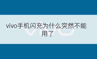 vivo手机闪充为什么突然不能用了