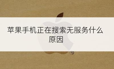 苹果手机正在搜索无服务什么原因