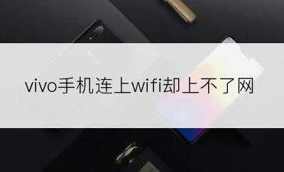 vivo手机连上wifi却上不了网