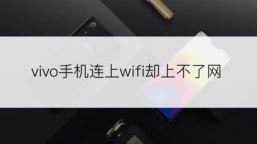 vivo手机连上wifi却上不了网