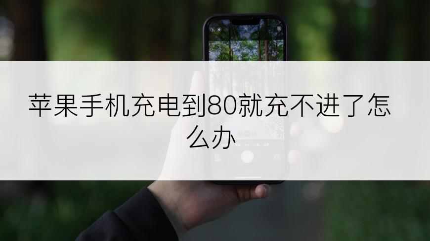 苹果手机充电到80就充不进了怎么办