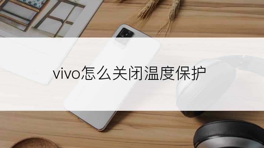 vivo怎么关闭温度保护