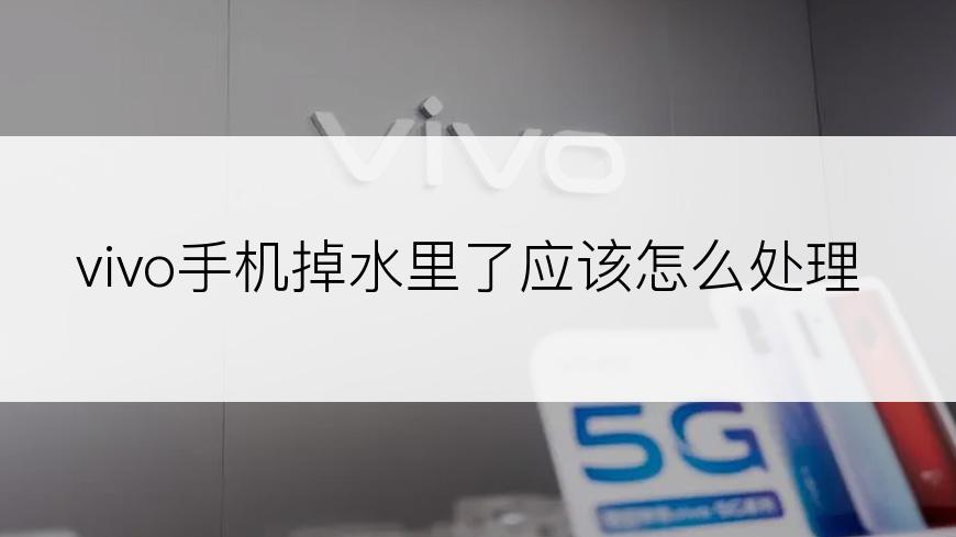 vivo手机掉水里了应该怎么处理