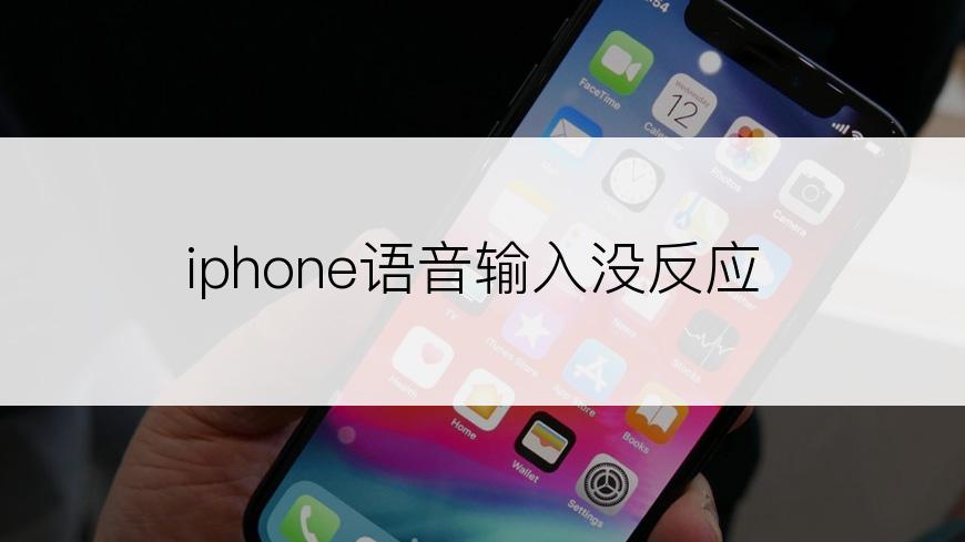 iphone语音输入没反应