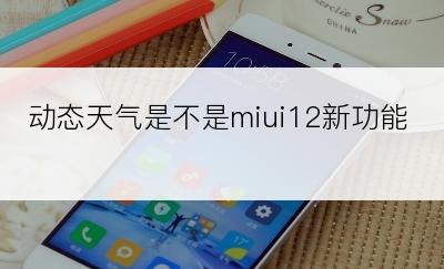 动态天气是不是miui12新功能