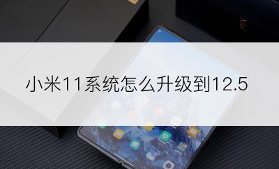 小米11系统怎么升级到12.5