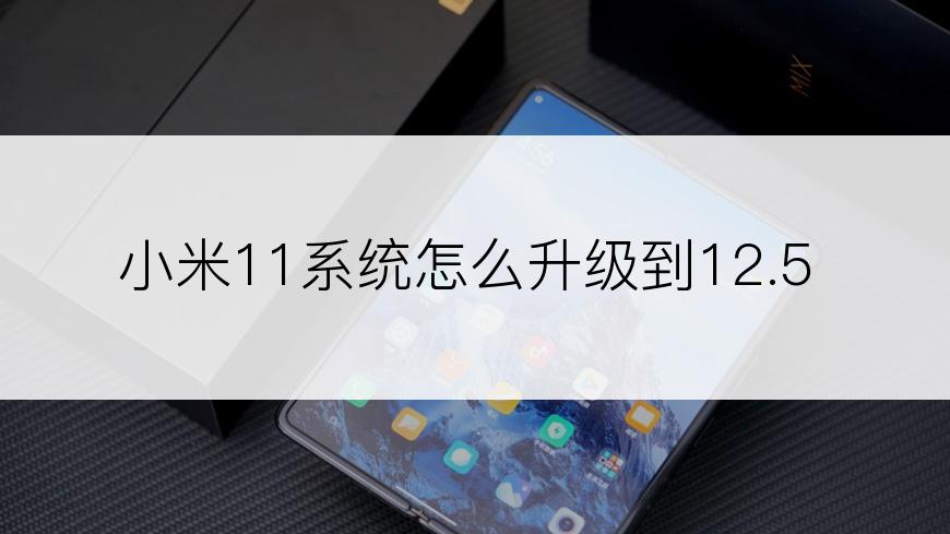 小米11系统怎么升级到12.5