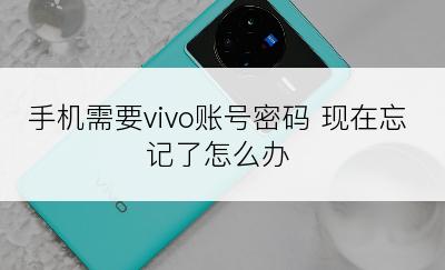 手机需要vivo账号密码 现在忘记了怎么办