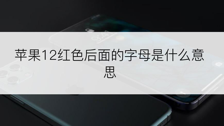 苹果12红色后面的字母是什么意思