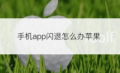 手机app闪退怎么办苹果