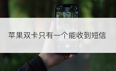 苹果双卡只有一个能收到短信