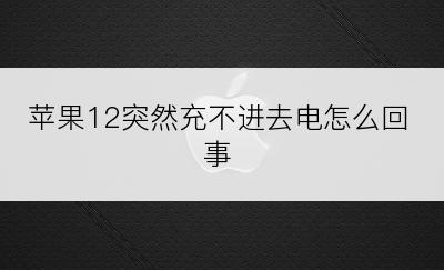 苹果12突然充不进去电怎么回事