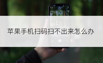 苹果手机扫码扫不出来怎么办