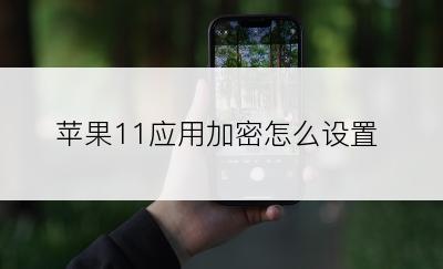 苹果11应用加密怎么设置