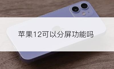 苹果12可以分屏功能吗