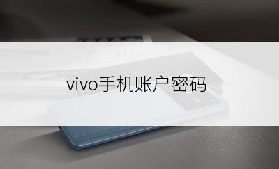 vivo手机账户密码