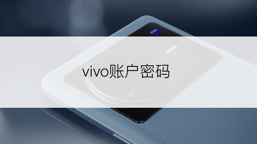 vivo账户密码