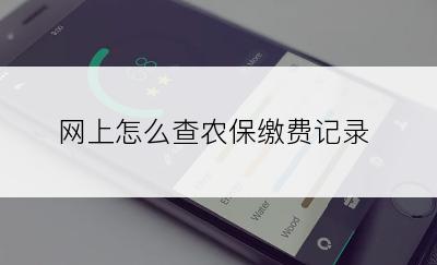 网上怎么查农保缴费记录