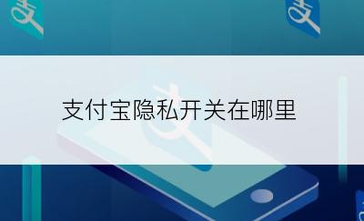 支付宝隐私开关在哪里