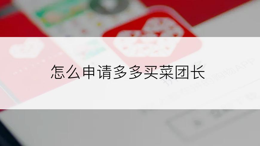 怎么申请多多买菜团长