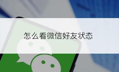 怎么看微信好友状态