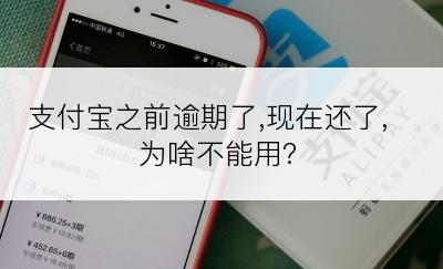 支付宝之前逾期了,现在还了,为啥不能用?