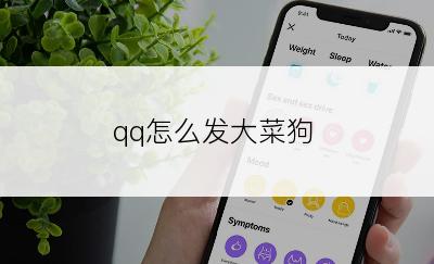 qq怎么发大菜狗