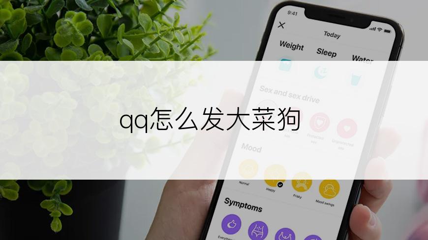 qq怎么发大菜狗