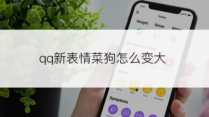 qq新表情菜狗怎么变大