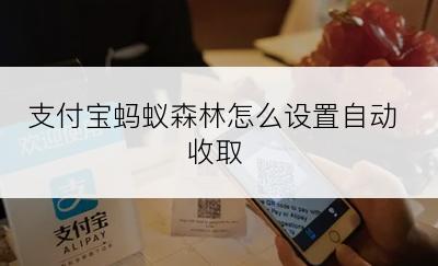 支付宝蚂蚁森林怎么设置自动收取