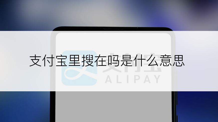 支付宝里搜在吗是什么意思