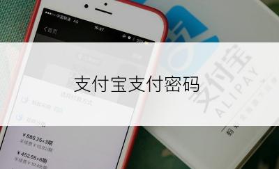 支付宝支付密码