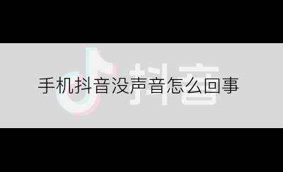 手机抖音没声音怎么回事