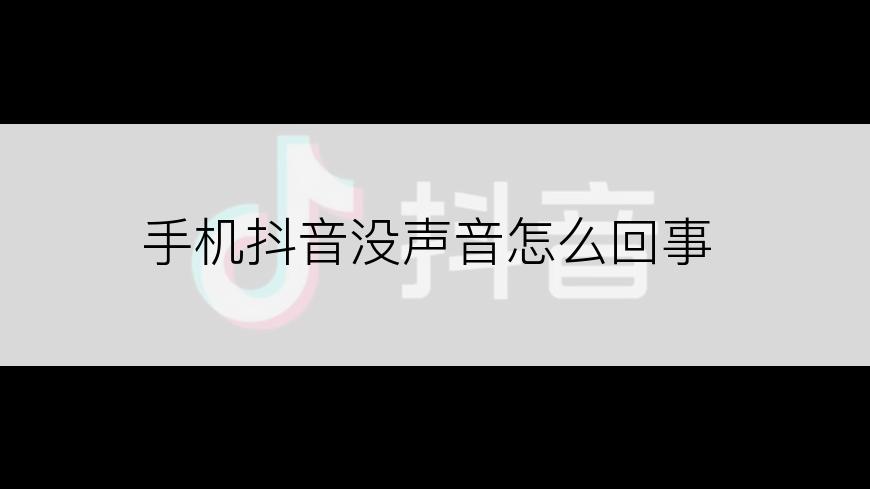 手机抖音没声音怎么回事