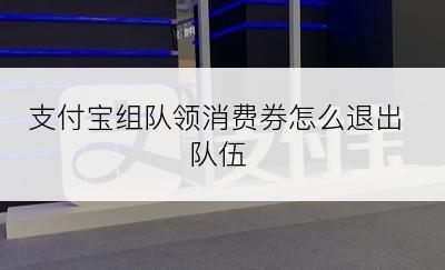 支付宝组队领消费券怎么退出队伍