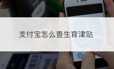 支付宝怎么查生育津贴