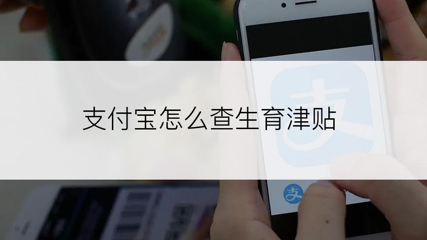 支付宝怎么查生育津贴