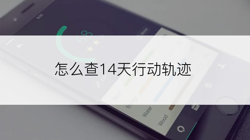 怎么查14天行动轨迹