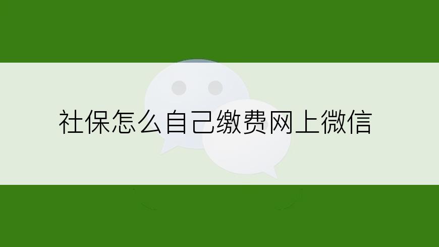 社保怎么自己缴费网上微信