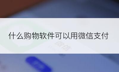 什么购物软件可以用微信支付