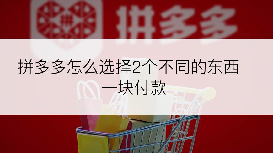 拼多多怎么选择2个不同的东西一块付款