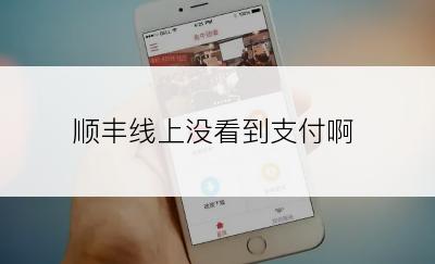 顺丰线上没看到支付啊