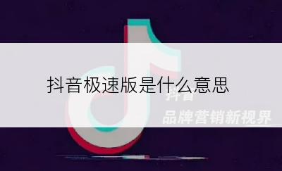 抖音极速版是什么意思