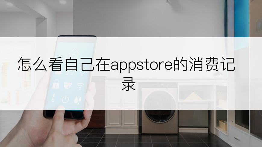 怎么看自己在appstore的消费记录