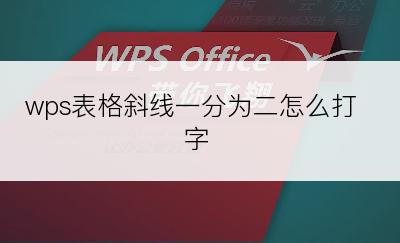 wps表格斜线一分为二怎么打字