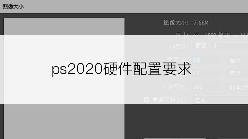 ps2020硬件配置要求