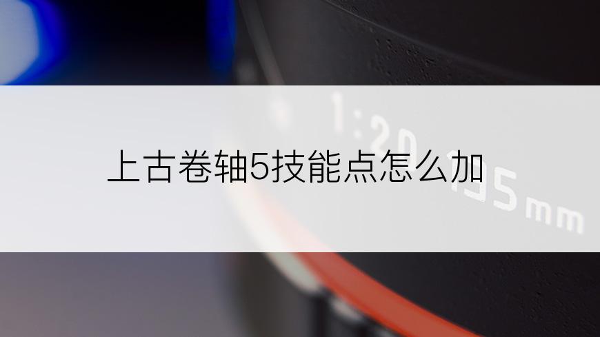 上古卷轴5技能点怎么加